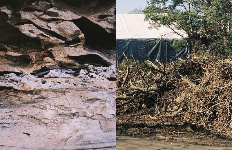 © Julia Mejnertsen - Zimbabwe (2017) and Copenhagen Zoo (2021)