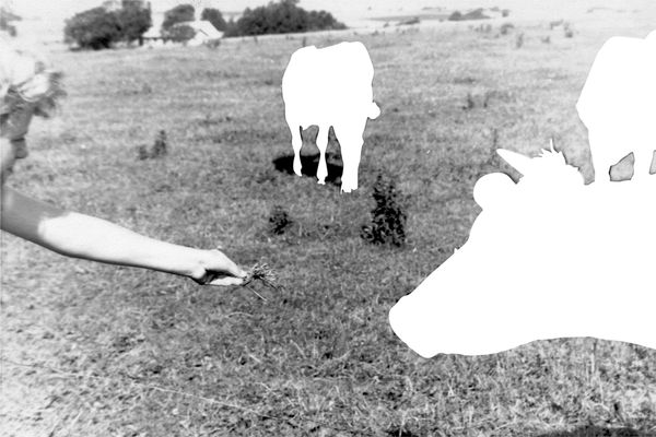© Julia Mejnertsen - My mother in the Danish country side - family archival photograph