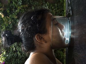 The rage of devotion