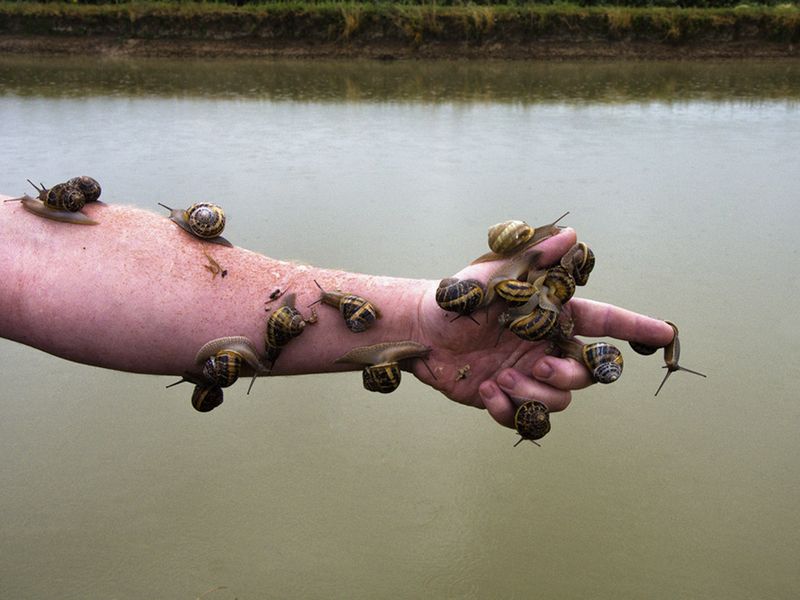 © Liza Ambrossio - Image from the The rage of devotion photography project