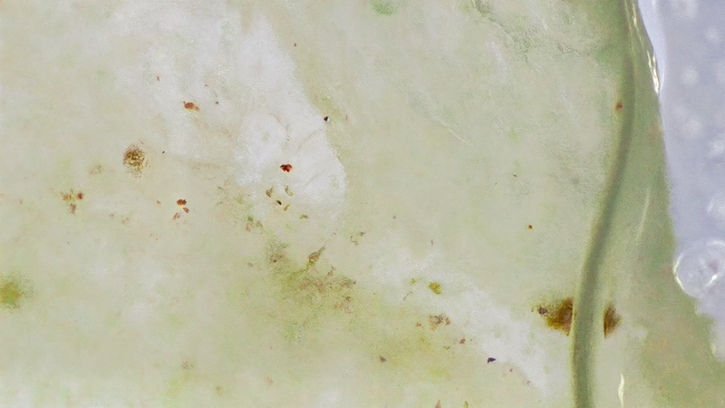 © Aiess Alonso - Image from the Where I've Been photography project