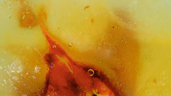 © Aiess Alonso - Image from the Where I've Been photography project