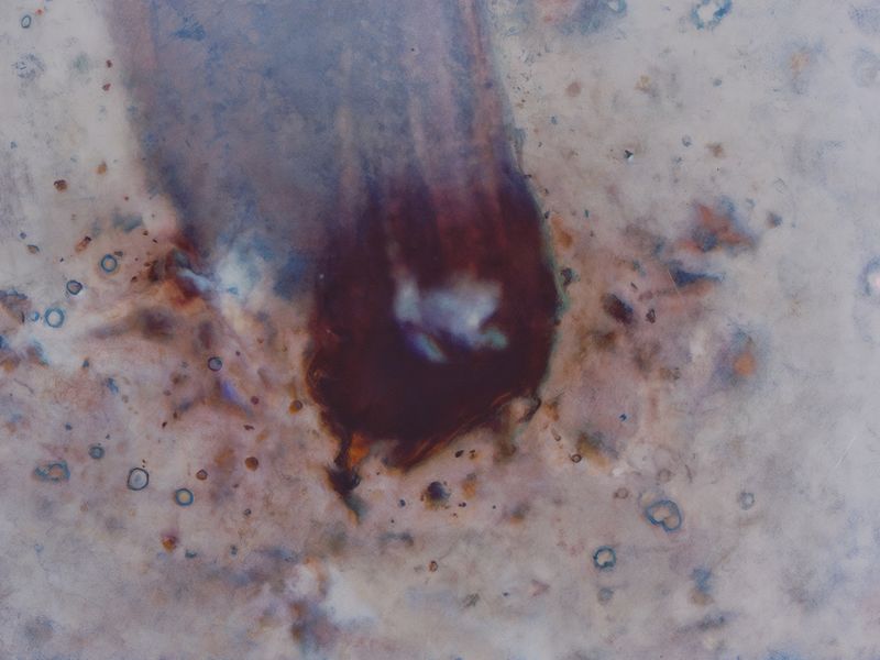 © Aiess Alonso - Image from the Where I've Been photography project