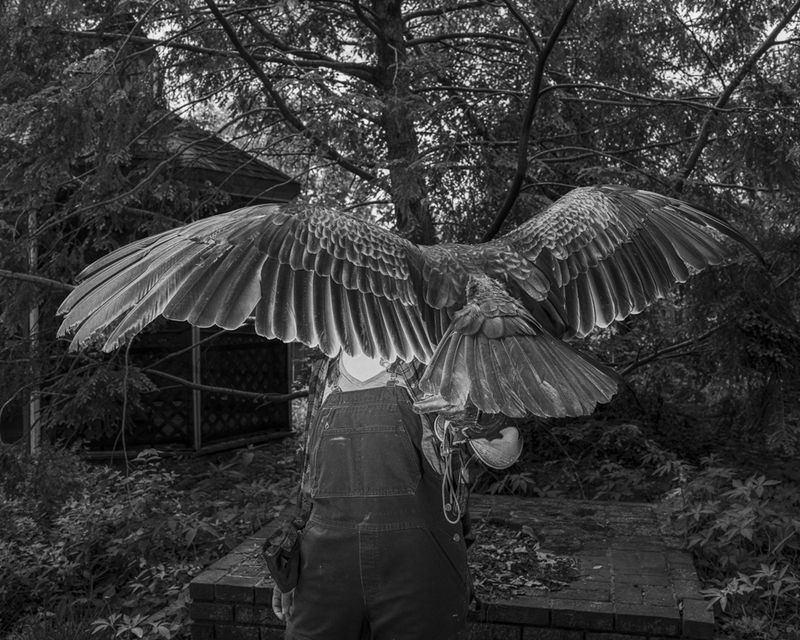 © riel Sturchio - Wingspan, Archival Inkjet Print, 16" x 20", 2024
