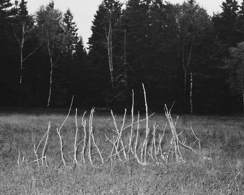 © riel Sturchio - Ribs, 8" x 10", Silver Gelatin Print, 2017