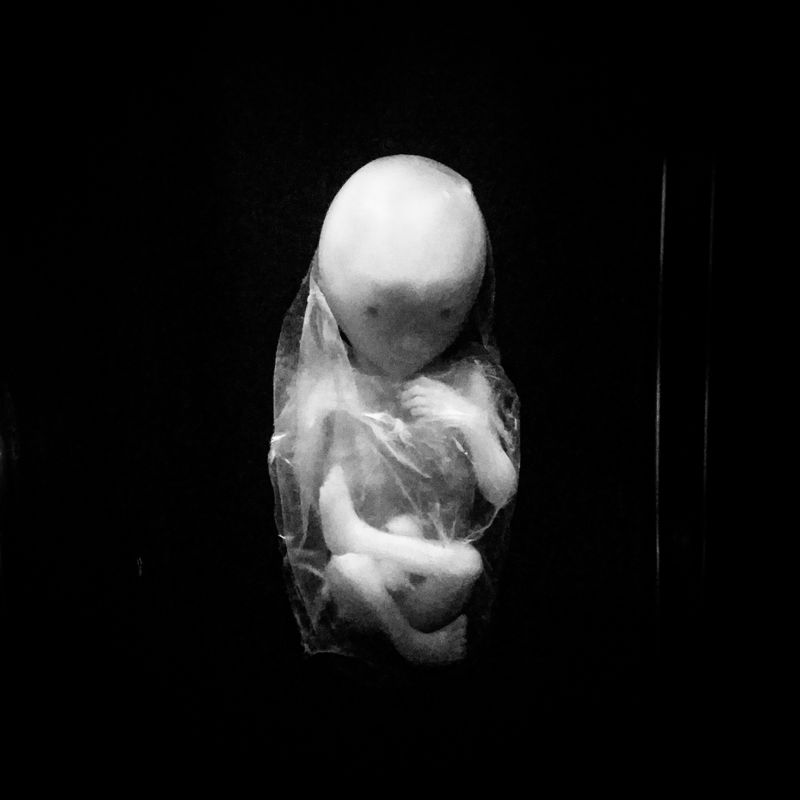 © Richard Andrew Sharum - Image from the STRANGER(s) photography project