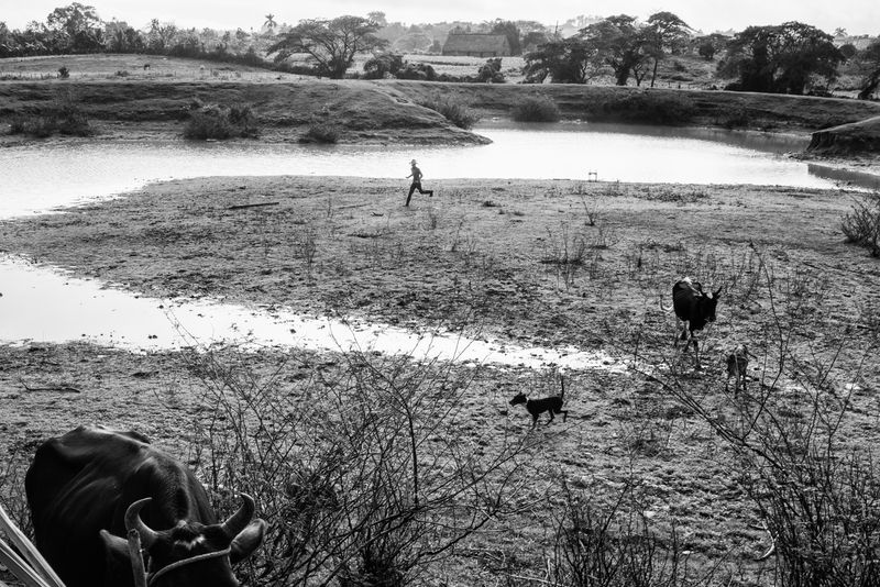 © Richard Andrew Sharum - Image from the TIERRA CUBA photography project