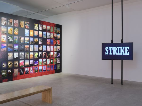 © Zoé Aubry - The Lure of the Image, Fotomuseum Winterthur, currated by Doris Gassert, 17.05.–12.10.2025