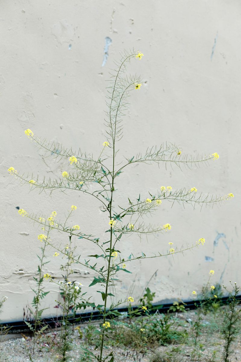 © Luisa Mielenz - Image from the Mangelnde Evidenz photography project