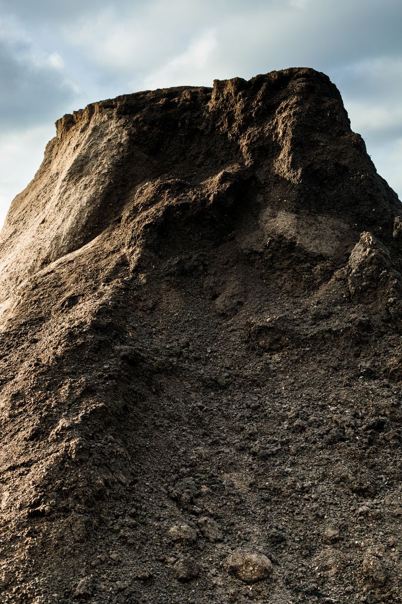 © Luisa Mielenz - Image from the Mulde photography project
