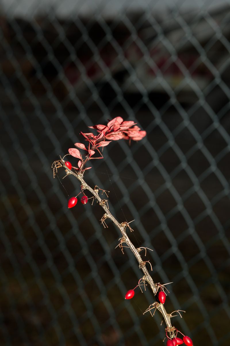 © Luisa Mielenz - Image from the Mulde photography project
