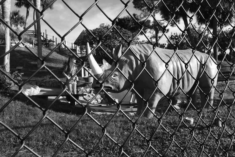 © Mary-Louise Miller - Putt-A-Rhino.  Putt-putt capitol of the world. Myrtle Beach, SC. © ML Miller