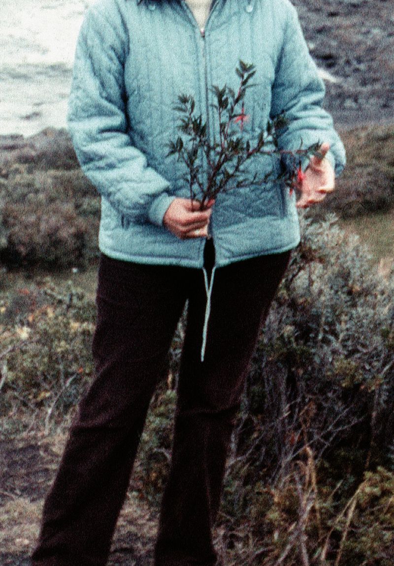 Image from a project on PhMuseum