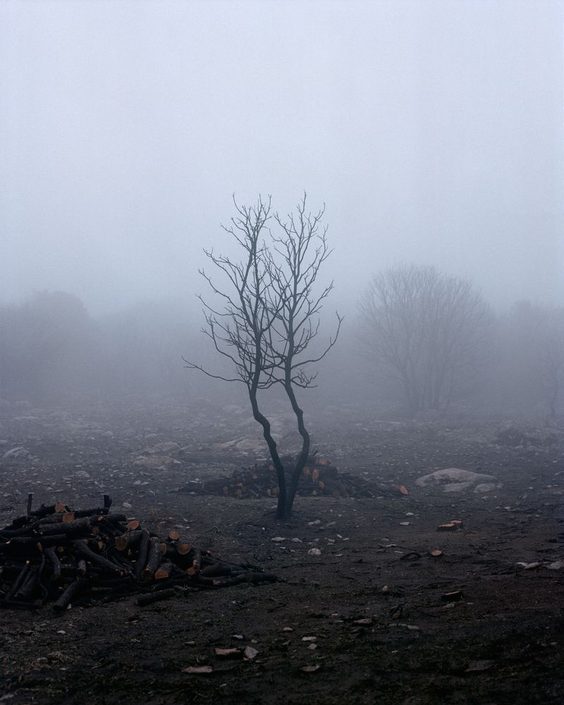 © Massimiliano Corteselli - Image from the Contrapasso photography project