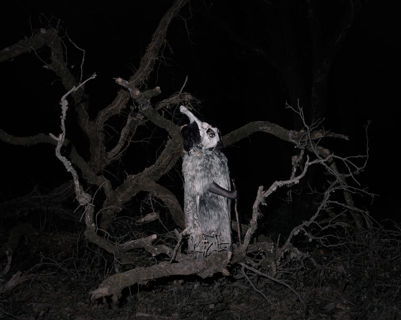 © Massimiliano Corteselli - Image from the Contrapasso photography project