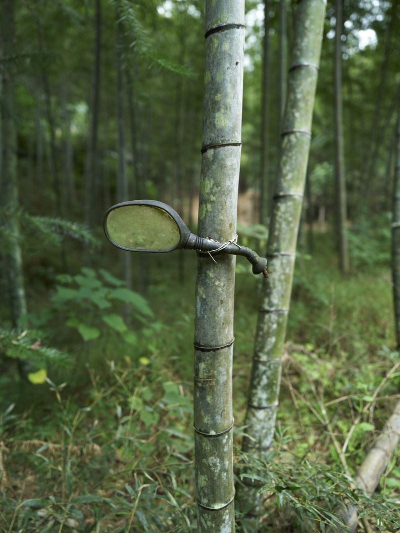 © xiao yu deng - Image from the There is nothing new under the sun. photography project