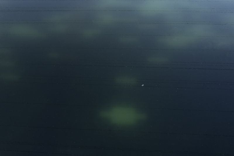 © xiao yu deng - Image from the There is nothing new under the sun. photography project