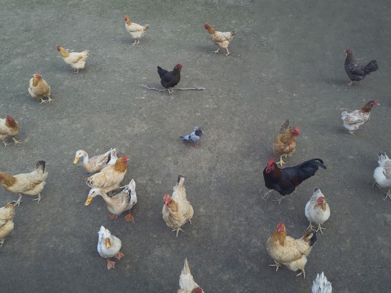 © xiao yu deng - Image from the There is nothing new under the sun. photography project
