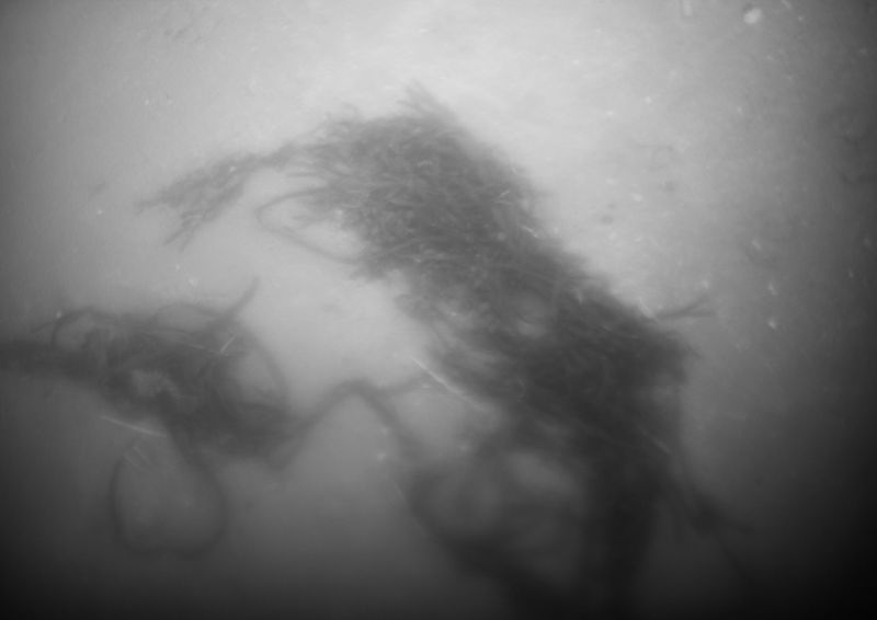 © lara vR - Image from the Beneath the surface photography project