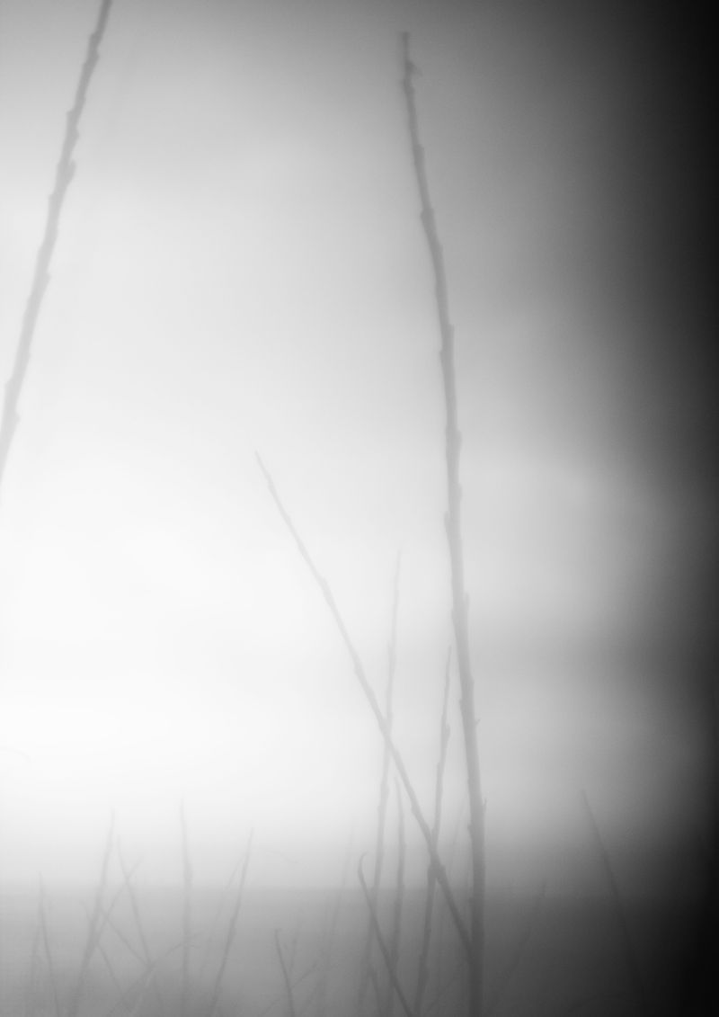 © lara vR - Image from the Beneath the surface photography project