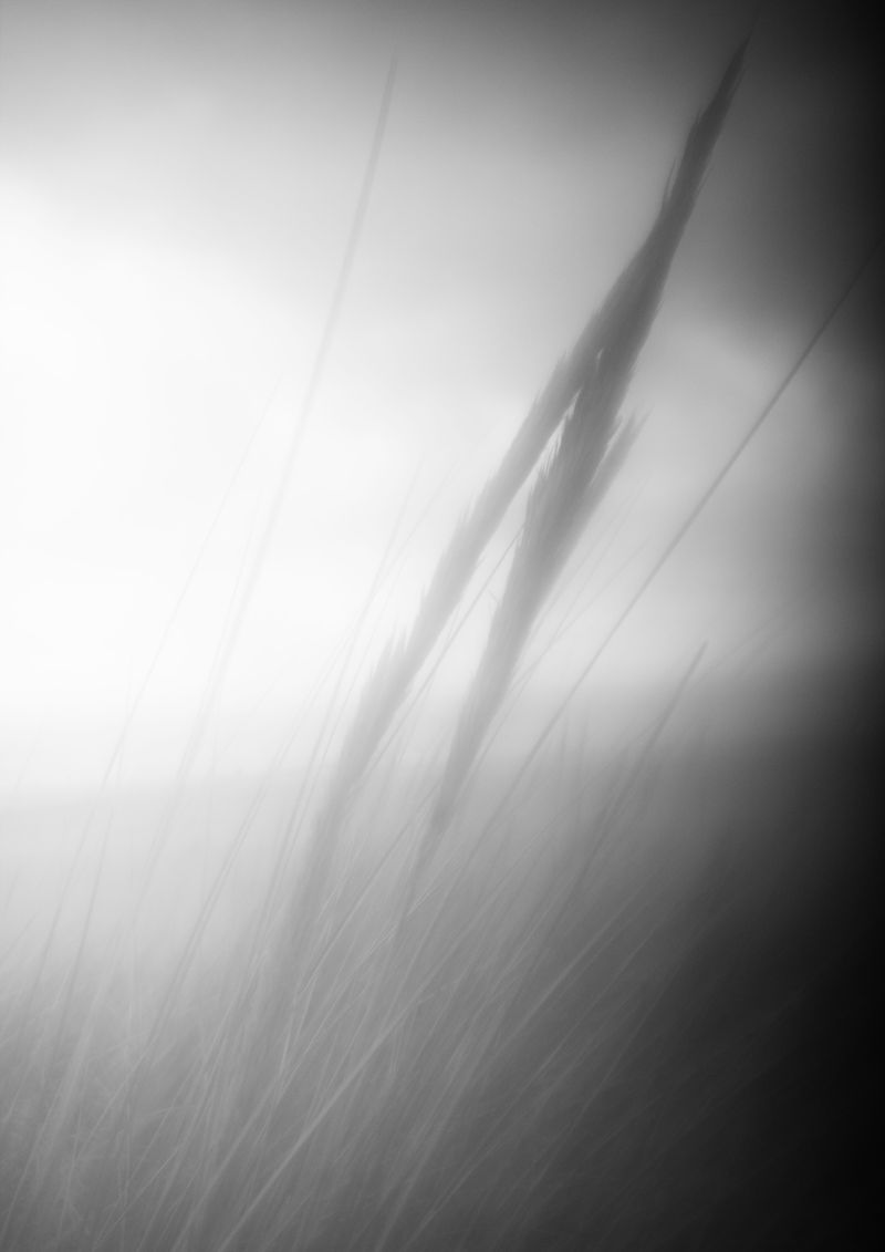 © lara vR - Image from the Beneath the surface photography project