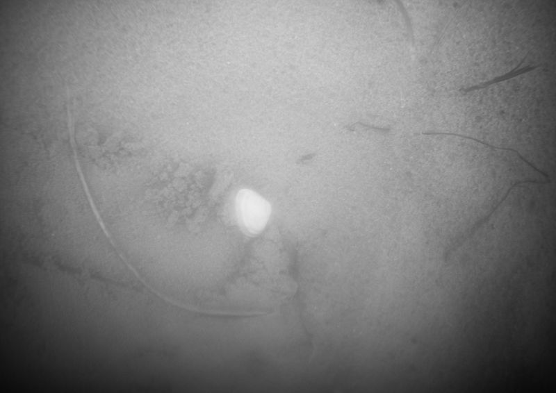 © lara vR - Image from the Beneath the surface photography project