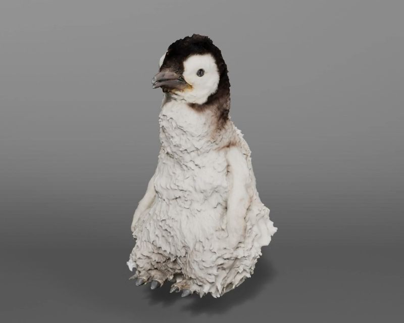 © Nicolò Rinaldi - Image from the W.E.I.R.D. (Wilderness Emulation Implicates Rapid Destruction) photography project