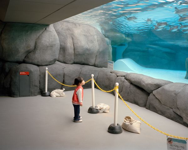 © Nicolò Rinaldi - (2025) Osaka, Japan.Underground corridor beneath the penguin tank at Tennoji Zoo.