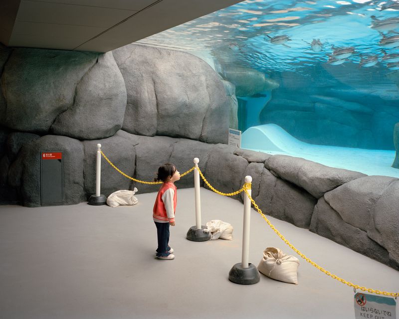 © Nicolò Rinaldi - (2025) Osaka, Japan.Underground corridor beneath the penguin tank at Tennoji Zoo.