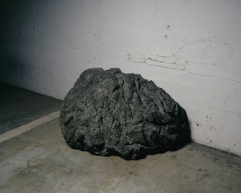 © Nicolò Rinaldi - Image from the W.E.I.R.D. (Wilderness Emulation Implicates Rapid Destruction) photography project