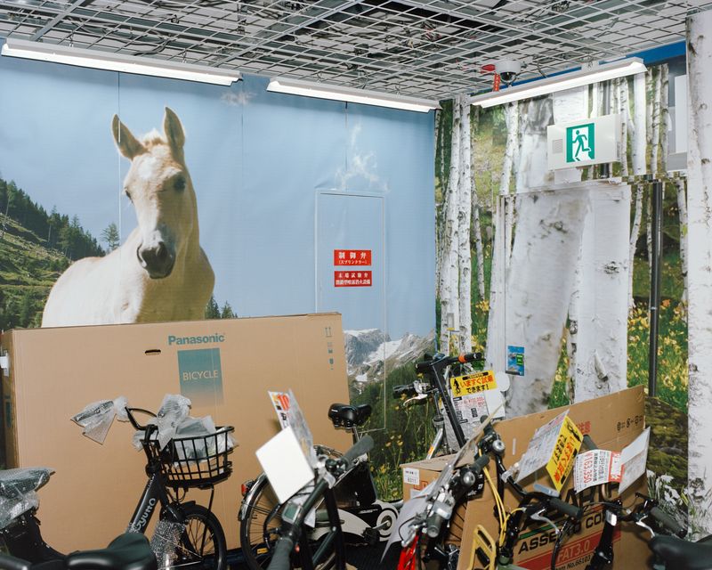 © Nicolò Rinaldi - Image from the W.E.I.R.D. (Wilderness Emulation Implicates Rapid Destruction) photography project