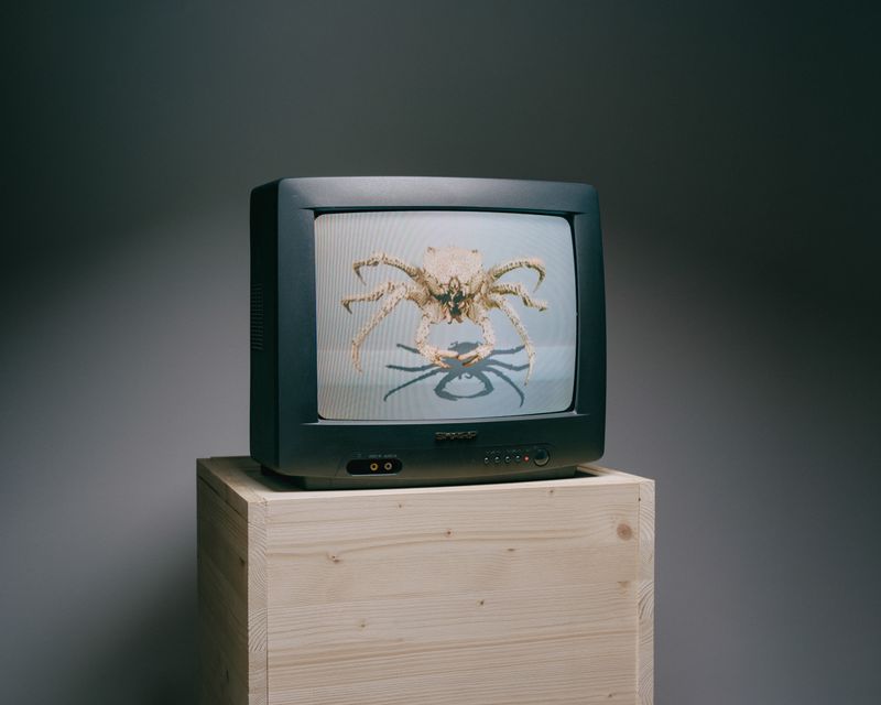 © Nicolò Rinaldi - "W.E.I.R.D. - the exhibition"Genova Palazzo Ducale (November 2025)