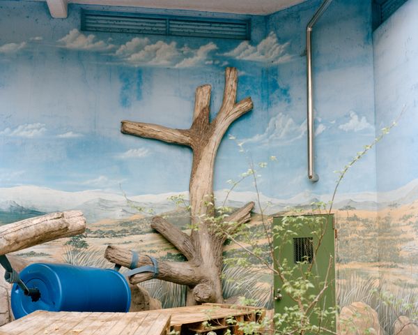 © Nicolò Rinaldi - (2025) Osaka, Japan.The leopard enclosure at Tennoji Zoo.