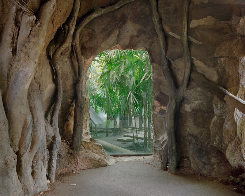 © Nicolò Rinaldi - Image from the W.E.I.R.D. (Wilderness Emulation Implicates Rapid Destruction) photography project