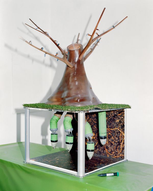 © Nicolò Rinaldi - Image from the W.E.I.R.D. (Wilderness Emulation Implicates Rapid Destruction) photography project