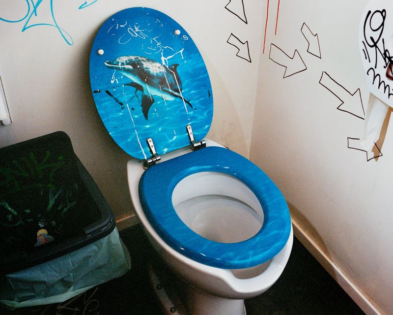 © Nicolò Rinaldi - (2024) Milan, Italy.A toilet with a custom graphic depicting a dolphin.