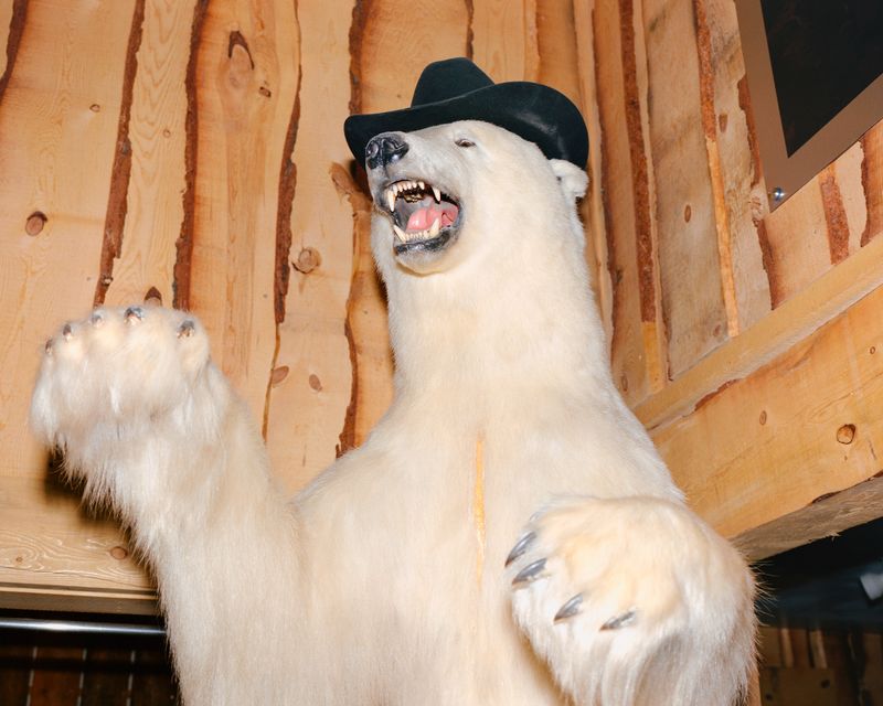 © Nicolò Rinaldi - (2024) Utah, USA.A polar bear used as decor in a mountain gear store.