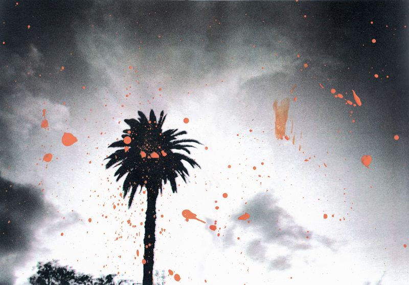 © Tim Rod - Image from the Don't forget the Knifish photography project