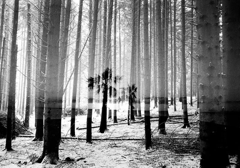 © Tim Rod - Compound worlds