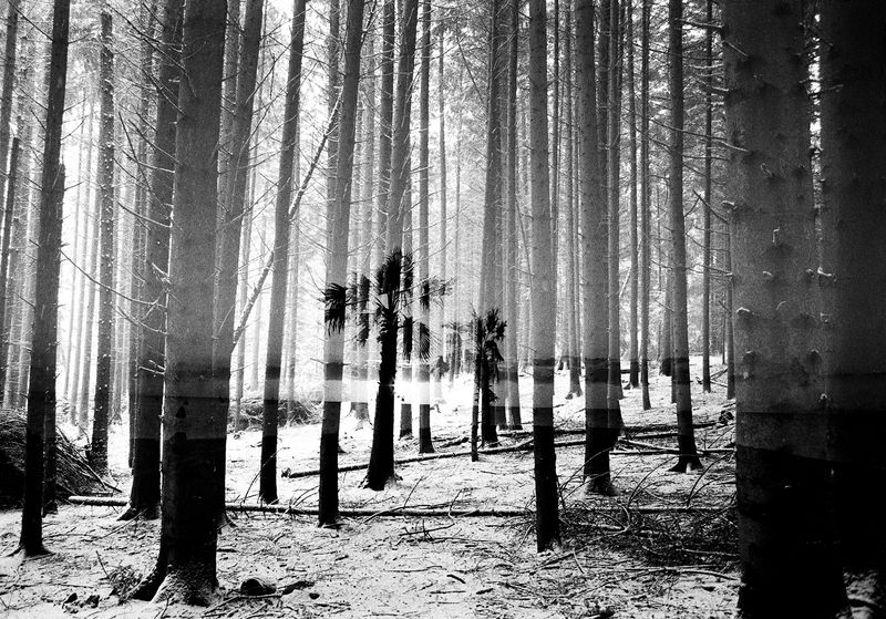 © Tim Rod - Compound worlds