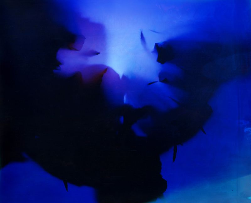 © Christelle Boulé - Image from the Botanica photography project