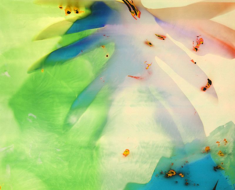 © Christelle Boulé - Image from the Botanica photography project