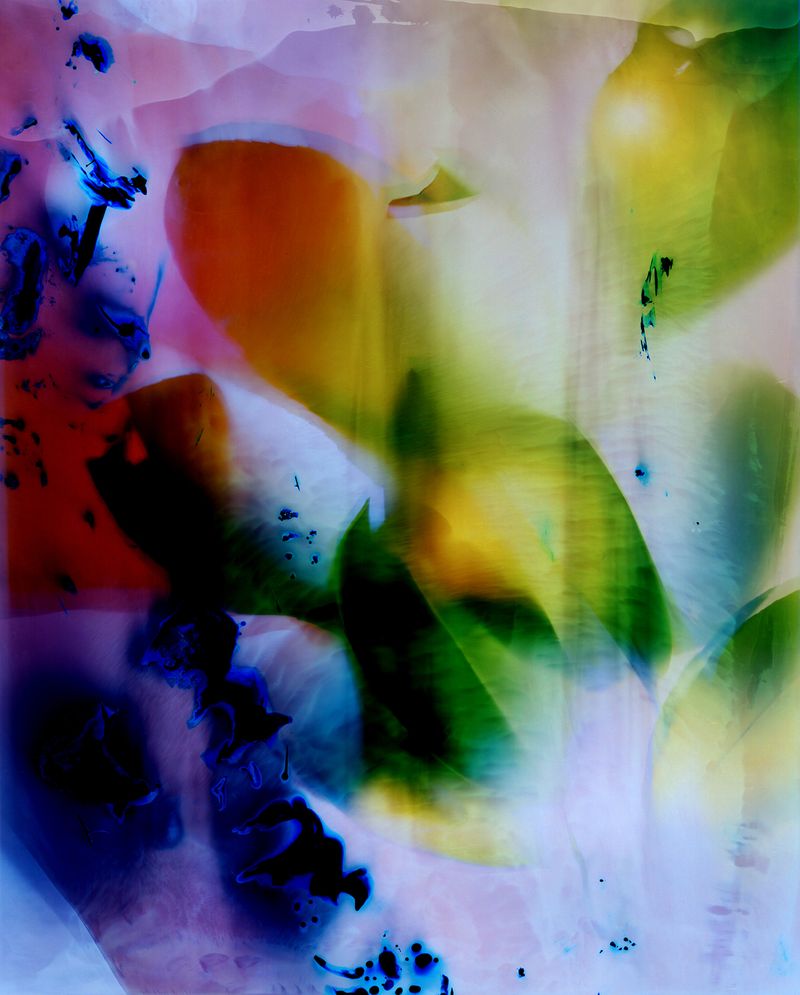 © Christelle Boulé - Image from the Botanica photography project