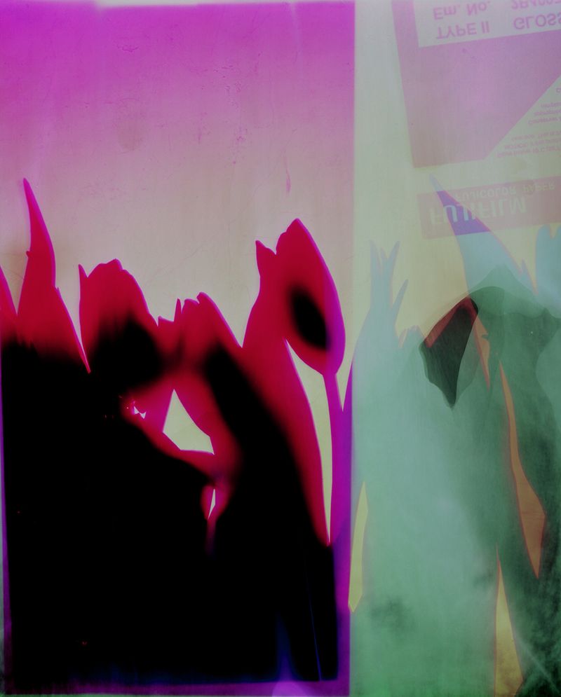 © Christelle Boulé - Image from the Botanica photography project