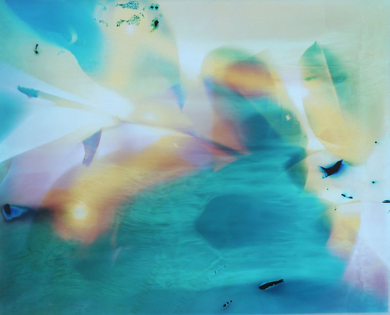 © Christelle Boulé - Image from the Botanica photography project