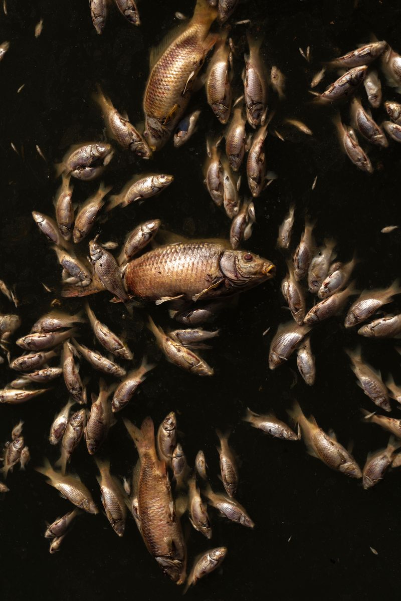 © Marcus Xavier Chormicle - Image from the Still Playing With Fire photography project