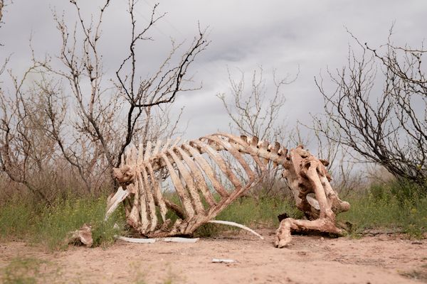 © Marcus Xavier Chormicle - Image from the Still Playing With Fire photography project