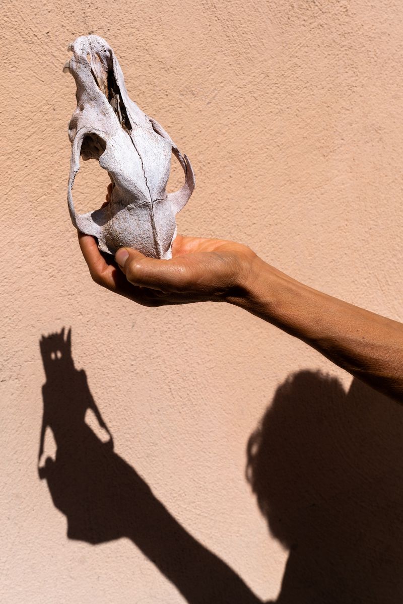 © Marcus Xavier Chormicle - Image from the Still Playing With Fire photography project