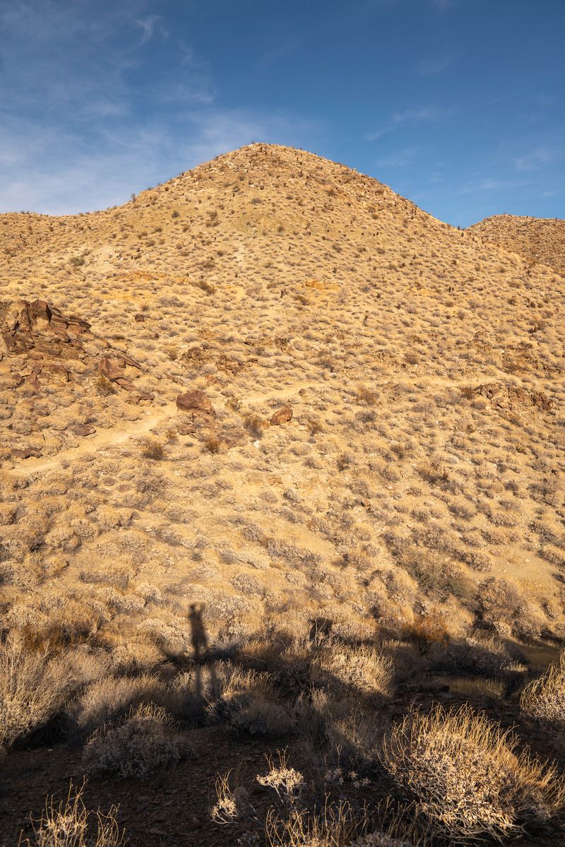 © Marcus Xavier Chormicle - My shadow cast on the land. The earth, sky, barrel cactus, all the shrubbery, and myself, all belong to the same ecology.