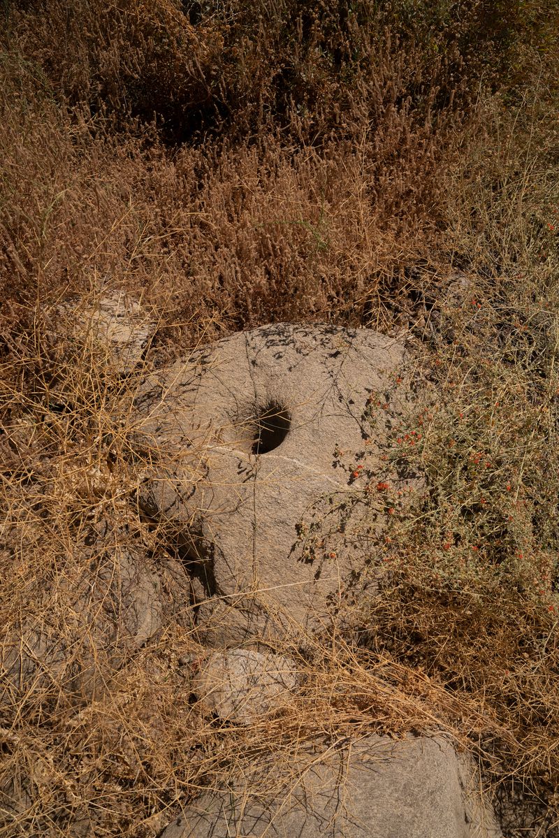 © Marcus Xavier Chormicle - Image from the Say Uncle photography project